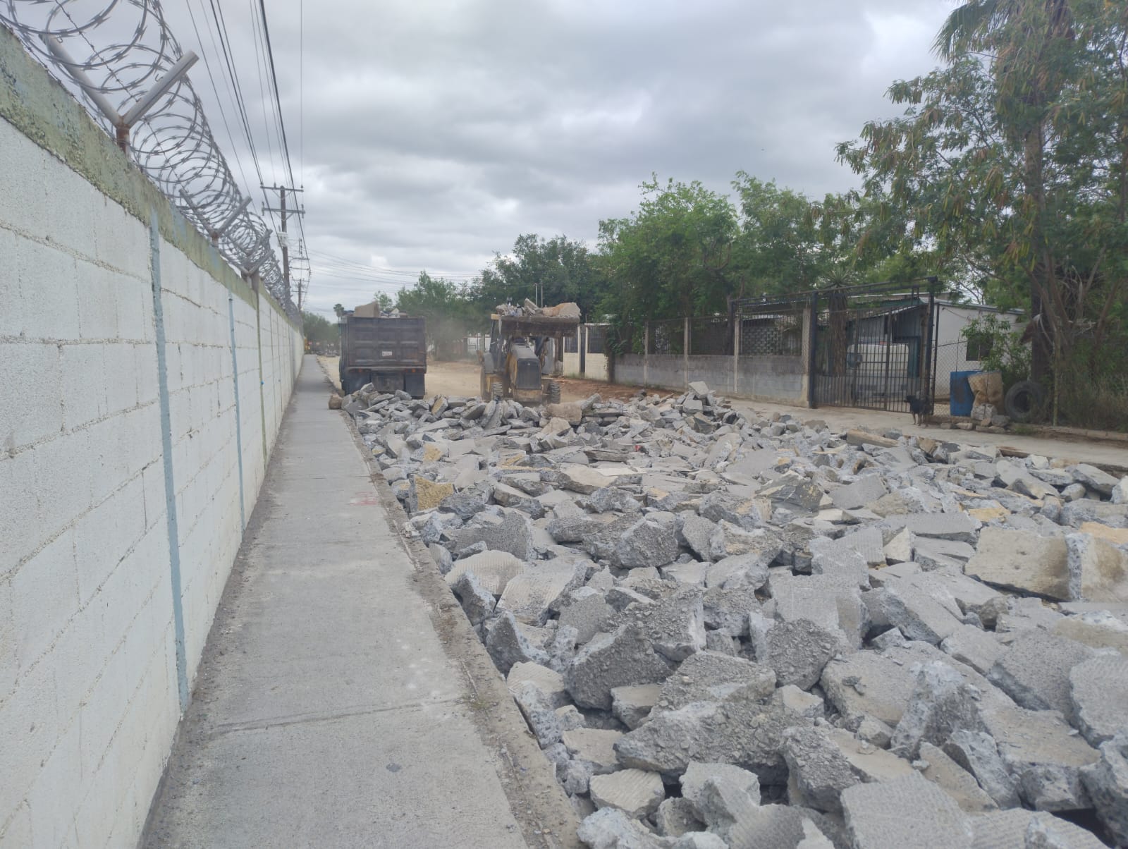 Imagen de la obra